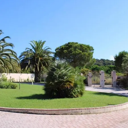 Le Palme